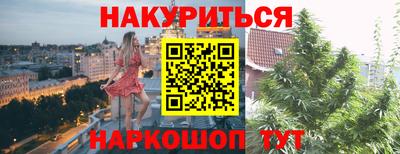 дмт Кингисепп
