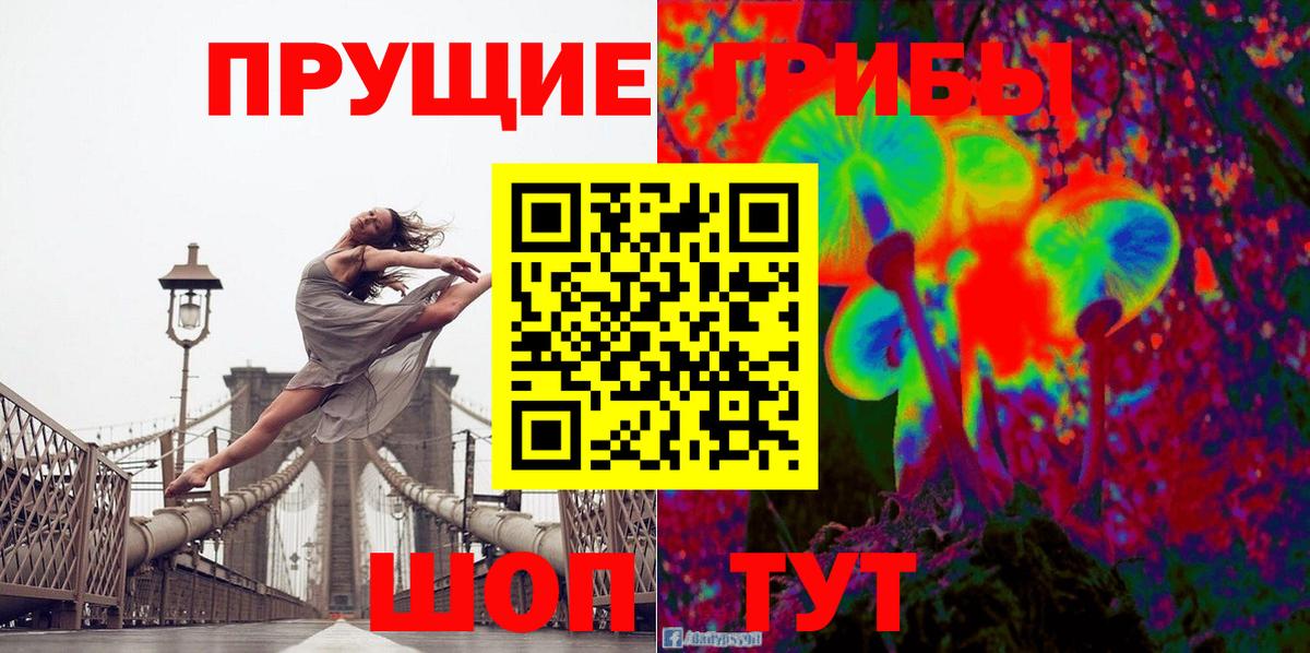 Псилоцибиновые грибы GOLDEN TEACHER  даркнет сайт  Кольчугино  Вход с VPN 